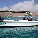Dive Art Oman